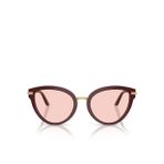 Dolce & Gabbana Kadın Güneş Gözlüğü 0DG4492553091P5