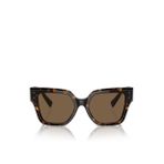 Dolce & Gabbana Kahverengi - Çok Renkli Kadın Güneş Gözlüğü 0DG447152502/73
