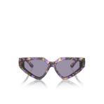 Dolce & Gabbana Mavi Kadın Güneş Gözlüğü 0DG4469593439/1