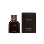 Dolce & Gabbana Pour Homme Intenso EDP 75 ml Erkek Outlet Parfüm