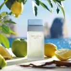 Dolge Gabbana Light Blue - 100 ml