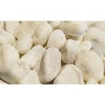 Dolomite Beyaz Dolomit Taş 1 kg 2 - 4 cm Akvaryum Çakıl Bahçe Terrarium Taşı