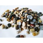 Dolomite Mix Dolomit Taş 1 kg 1 - 2 cm Akvaryum Çakıl Bahçe Terrarium Taşı