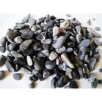 Dolomite Siyah Dolomit Taş 1 kg 1 - 2 cm Akvaryum Çakıl Bahçe Terrarium Taşı