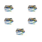 Dolphin Mentollü Jelatinli / Poşetli Ahşap Kürdan - 500 Adetlik 5 Paket