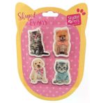 Dolphin Studio Pets Blisterli Silgi Seti 4 Lü Pt-783