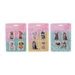 Dolphin Studio Pets Pt-783 Blisterli Silgi Seti