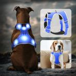 Domagiker Işıklı Köpek Koşum Takımı - Çekmesiz LED Köpek Koşum Takımı - Yansıtıcı LED Köpek Yeleği - Ayarlanabilir Köpek Yürüyüş Koşum Takımı - Gece Yürüyüşü için Parlayan Köpek Işığı (Mavi, L)
