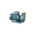 Domak SLG 2 1.5 HP Sulama Pompası