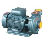 Domak Slg 2 2 Hp Sulama Pompası