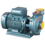 Domak SLG2 2HP 380 Volt 2 Çıkışlı Santrifüj Pompa