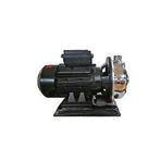 Domak SLGIX150 1.5 Hp 220 V Paslanmaz Çelik Gövdeli Santrifüj Pompa