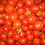domates çeri boncuk bebek domatesi tohumu 10 adt