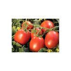 Domates Coşturan Gübre 20 Kg