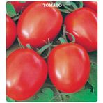 Domates Tohumu (H-2274) (2 gram)