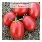 Domates Tohumu Rio Grande 1 Paket (5Gr=1000+ Adet) Rio Grande Domates Tohumu