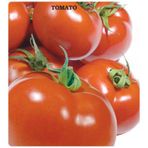 Domates Tohumu (SC-2121) 2 gram