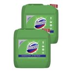 Domestos 2x3,24 lt Çamaşır Suyu Çam Ferahlığı