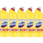 Domestos Çamaşır Suyu 750 ml Limon Ferahlığı (750 ml x 5 adet)