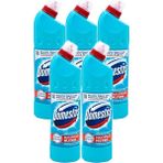 Domestos Çamaşır Suyu 750 ml Okaliptüs Ferahlığı, 5' Li