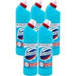 Domestos Çamaşır Suyu 750 ml Okaliptüs Ferahlığı (750 ml x 5 Adet) - 3,7 lt