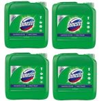 Domestos Çamaşır Suyu Çam Ferahlığı 3240ML 4 Adet Maksimum Hijyen Sağlayan Temizlik Ürünü - 750 ml