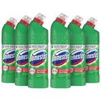 Domestos Dağ Esinitisi 6x 750 ml Çamaşır Suyu