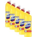 Domestos Limon Ferahlığı Çamaşır Suyu 750 ml x 5 Adet