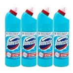 Domestos Okaliptus Ferahlığı 4x750 ml Çamaşır Suyu