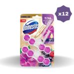Domestos Wc Blok Duopack Hibiskus & Kırmızı Meyveler 100 gr - (12 Adet)