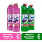 Domestos Yoğun Çamaşır Suyu Pembe Güç 750 ml x2 + Domestos Çamaşır Suyu Dağ Esintisi 750 ml x2