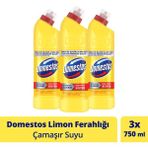 Domestos Yoğun Kıvamlı Çamaşır Suyu Limon Ferahlığı 750 ml X3 - 2,25 lt