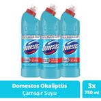 Domestos Yoğun Kıvamlı Çamaşır Suyu Okaliptüs Ferahlığı 750 ml X3 - 2,25 lt