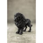domini Aslan - Dekoratif Figür/Biblo 12 cm