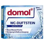 Domol 80 gr Yedek Tuvalet Temizleyici