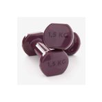 Domyos 2x1.5 kg Hafif Antrenman ve Pilates Dambıl