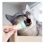 Dondurma Şeklinde Kedi Nanesi Kedi Otu
