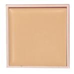 Dora Joy Yedek / Refill Pata Krem 01 Light Sarı Alt Ton Krem Formda Yüksek Kapatıcı Fondöten & Concealer