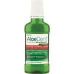 Dora Shopping Aloe Dent Alkolsüz Florürsüz Ağız Kokusu Önleyici Doğal Ağız Bakım Suyu - 250 ml - 1 Adet