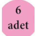 Dore Sahra 51 6 Adet Masaj Kadın Çorap