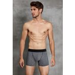 Doreanse 1866 Erkek Modal Çizgi Desenli Normal Paça Boxer