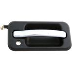 Dorman 83398 Ön Yolcu Tarafı Dış Kapı Kolu Seçili Hummer Modelleri için, Siyah ve Krom