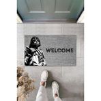 Dormot Home Modern Dijital Baskı - Gri Star Wars, Darth Vader - Kapı Önü Paspası 70X45 Cm - 45 x 75 cm - Kahverengi