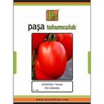 Dörtbudak Afrika Papatyası 2 Beyaz (200 Tohum)