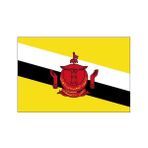 Doruk Brunei Masa Bayrağı