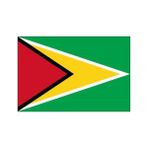 DORUK Guyana Gönder Bayrağı 70 x 105