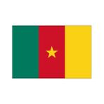 DORUK Kamerun Gönder Bayrağı 70 x 105