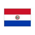 Doruk Paraguay Gönder Bayrağı 150 x 225 cm