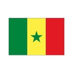 Doruk Senegal Gönder Bayrağı 50 x 75 cm