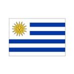 DORUK Uruguay Gönder Bayrağı 70 x 105